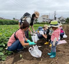 おいもほりの様子
